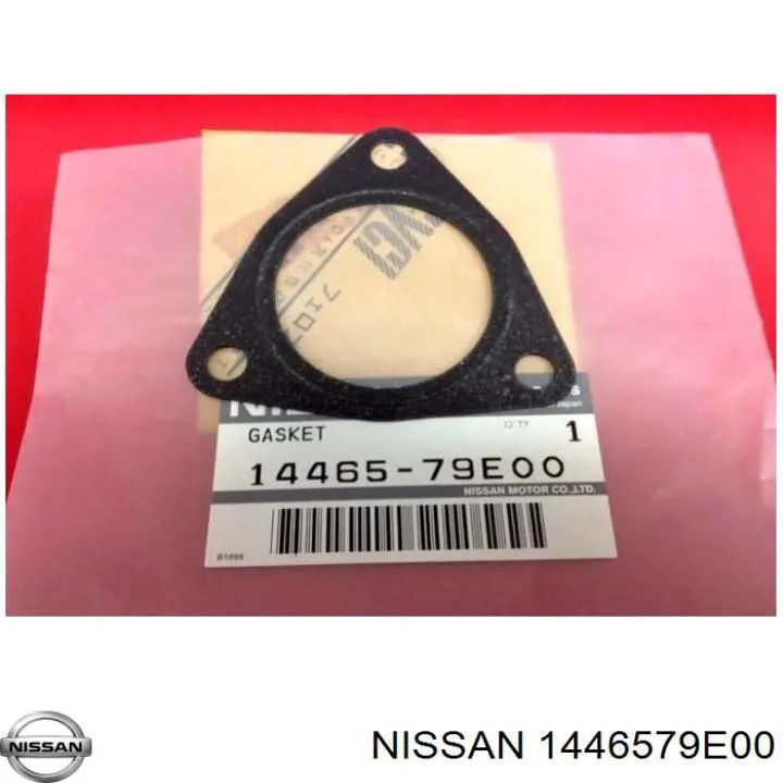 1446579E00 Nissan/Infiniti 