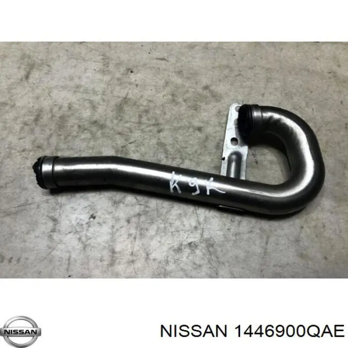1446900QAE Nissan/Infiniti 