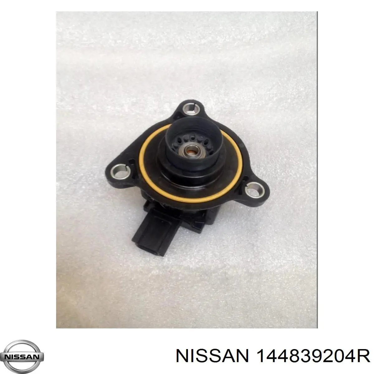  144839204R Nissan