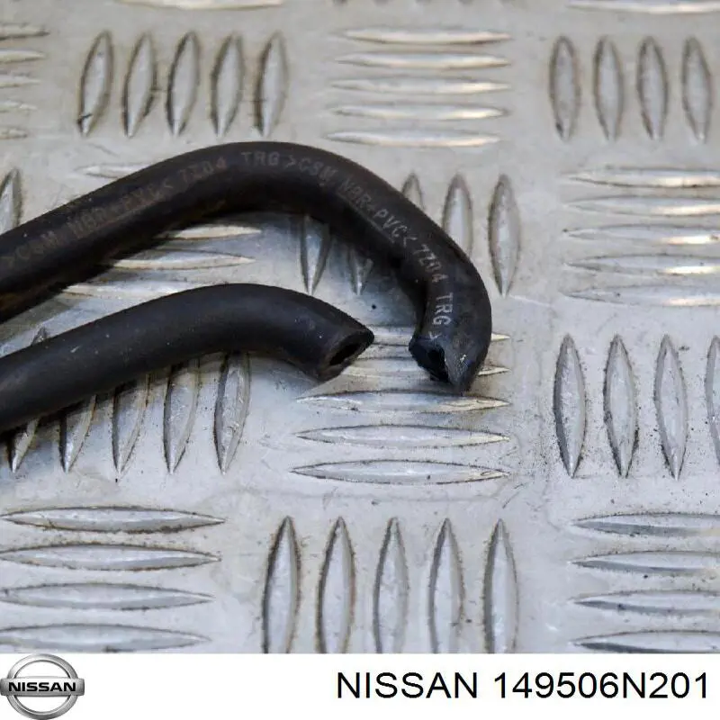 Купити Абсорбер парів Nissan Qashqai I J10