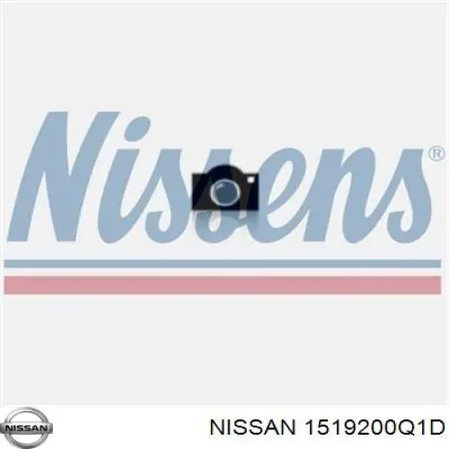 1519200Q1D Nissan/Infiniti Трубка/шланг подачі масла до турбіни