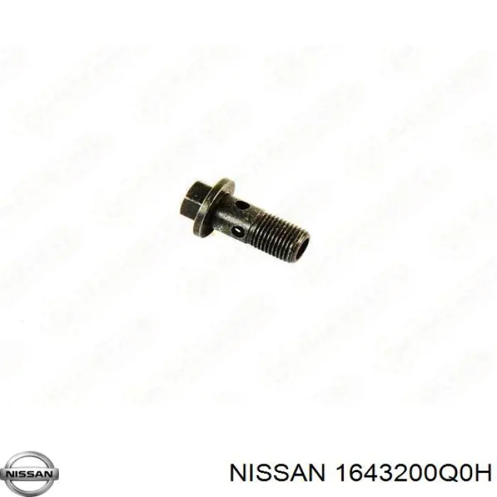 Болт трубки турбіни подачі масла Nissan Qashqai 2 (J11) (Нісан Кашкай)