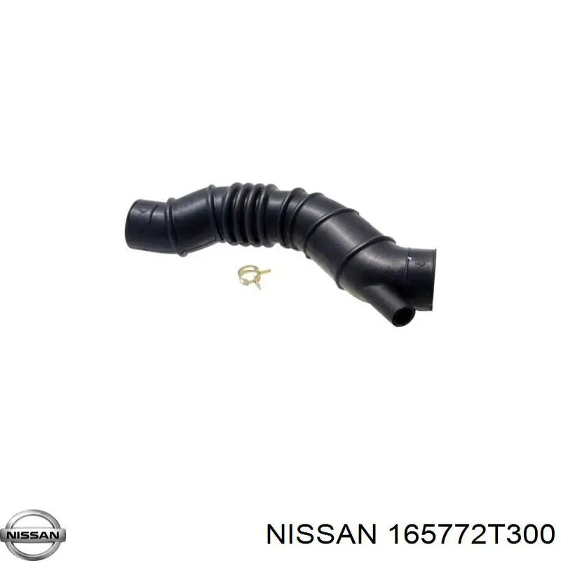  165772T300 Nissan