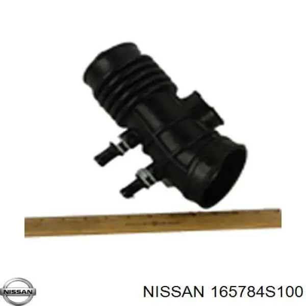 165784S100 Nissan/Infiniti 