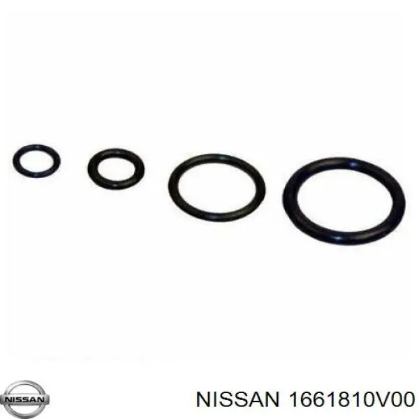  1661810V00 Nissan