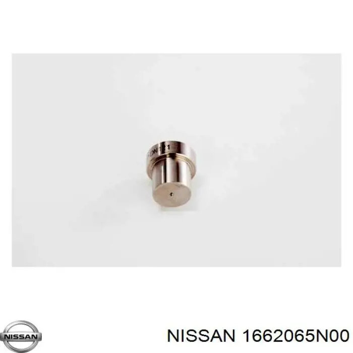 Купити 1662065N00 Nissan/Infiniti Розпилювач дизельної форсунки