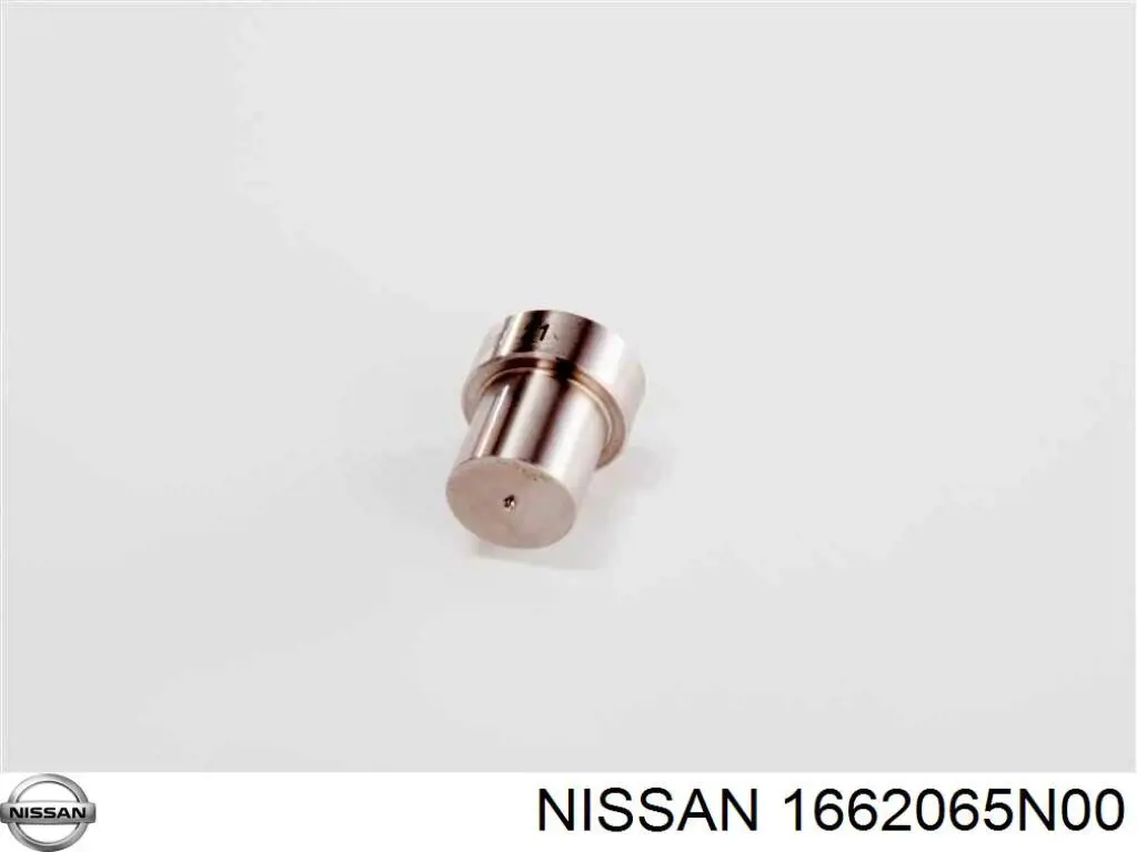 1662065N00 Nissan розпилювач дизельної форсунки