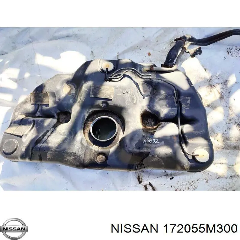 172055M300 Nissan/Infiniti 