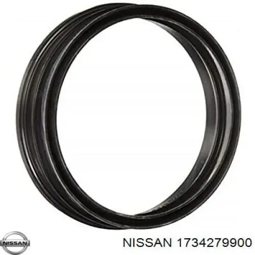 Прокладка датчика рівня (топл.бак) Nissan Tiida (SC11X) (Нісан Тііда)