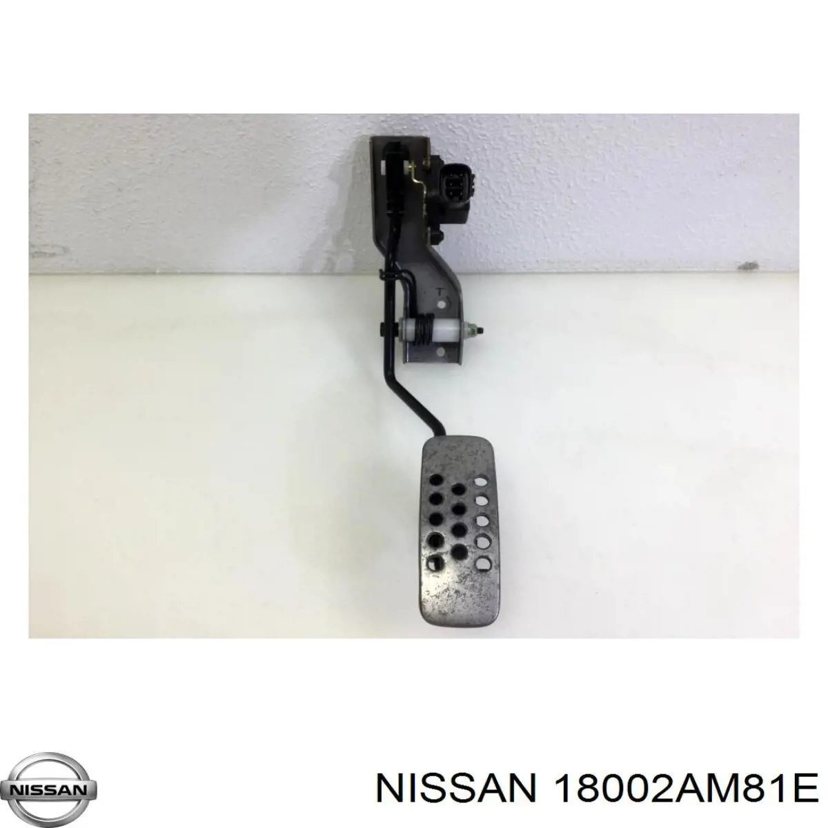  18002AM81E Nissan