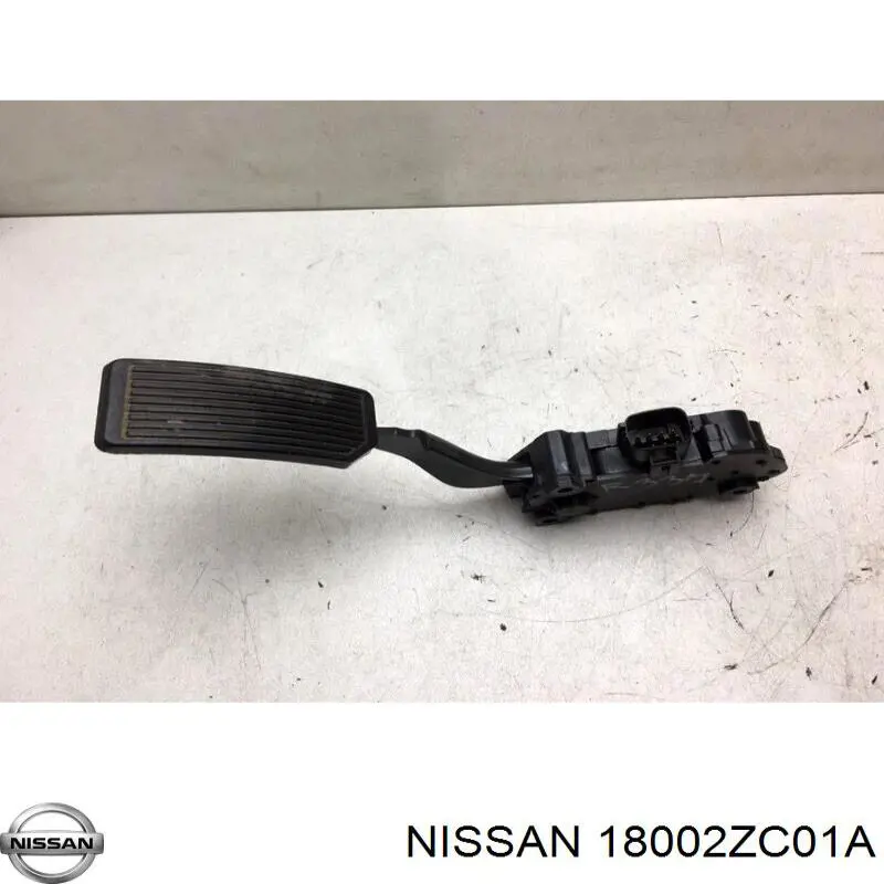  18002ZW00A Nissan