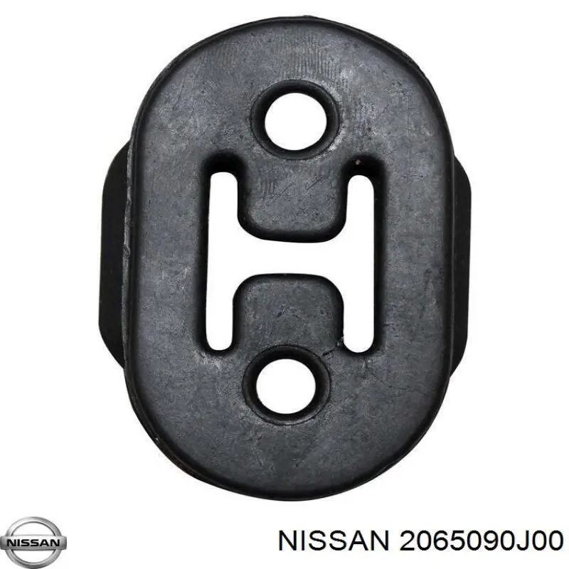 2065090J00 Nissan/Infiniti 