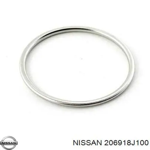  206918J100 Nissan