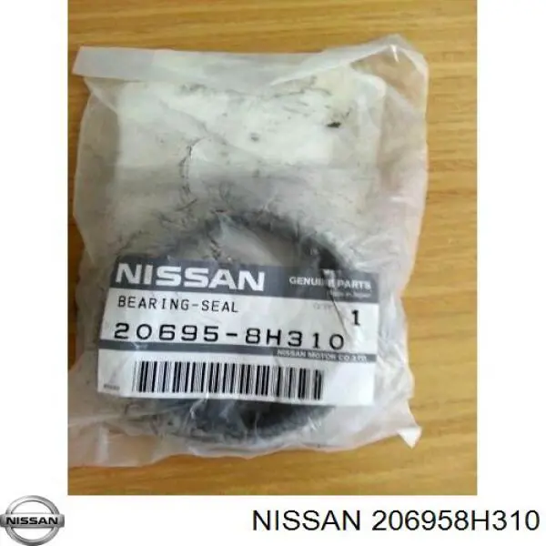 206958H310 Nissan/Infiniti Прокладка штанів