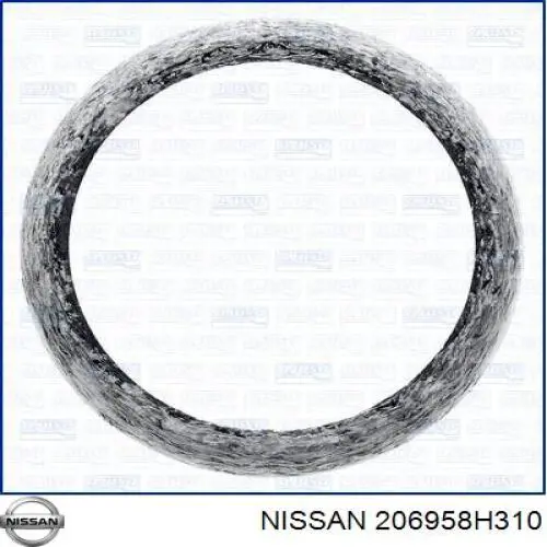 206958H310 Nissan/Infiniti Прокладка штанів