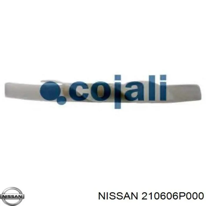 2106036J00 Nissan вентилятор/крильчатка радіатора охолодження