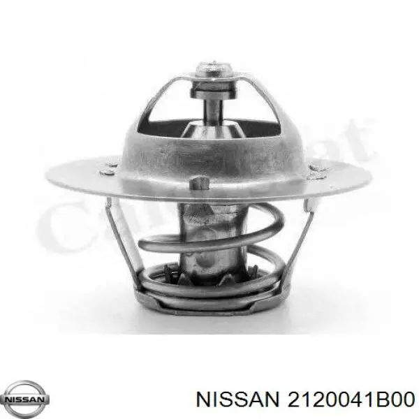  2120041B00 Nissan/Infiniti