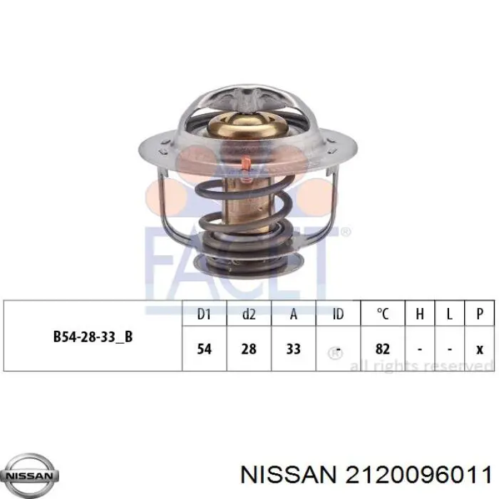  2120096011 Nissan