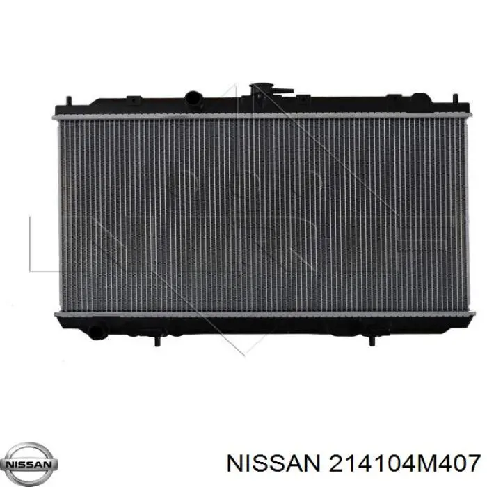  214104M407 Nissan