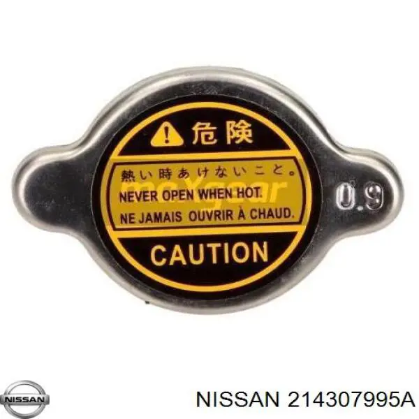 214307995A Nissan 