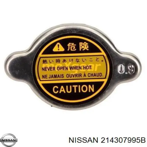  214307995B Nissan/Infiniti