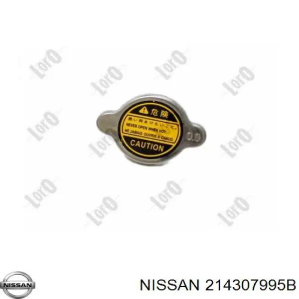214307995B Nissan 