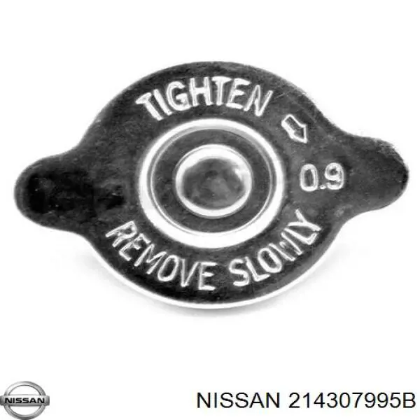 214307995B Nissan/Infiniti 