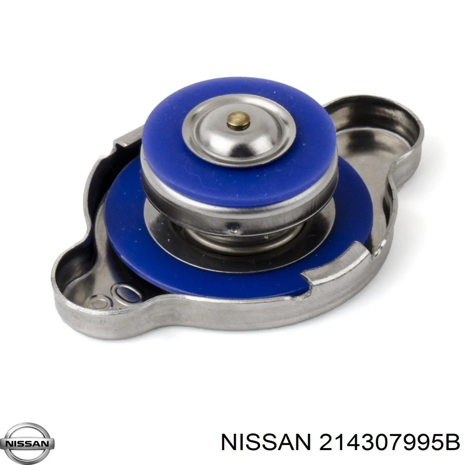 Купити 214307995B Nissan/Infiniti 