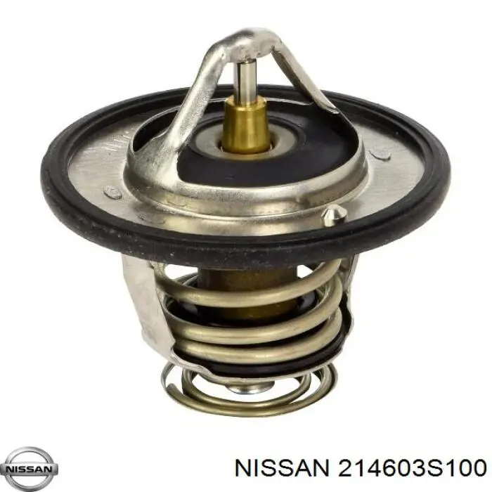  214603S100 Nissan