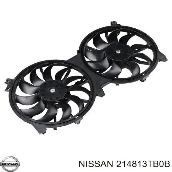  214813TB0B Nissan