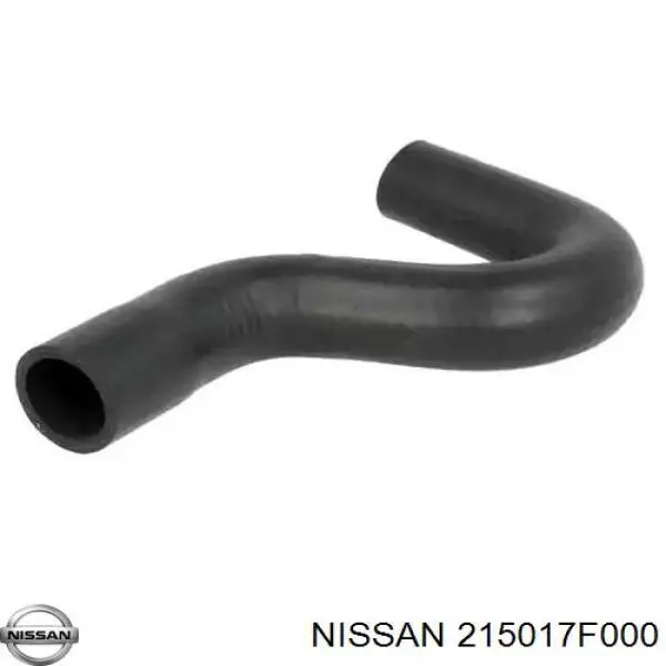  215010F111 Nissan