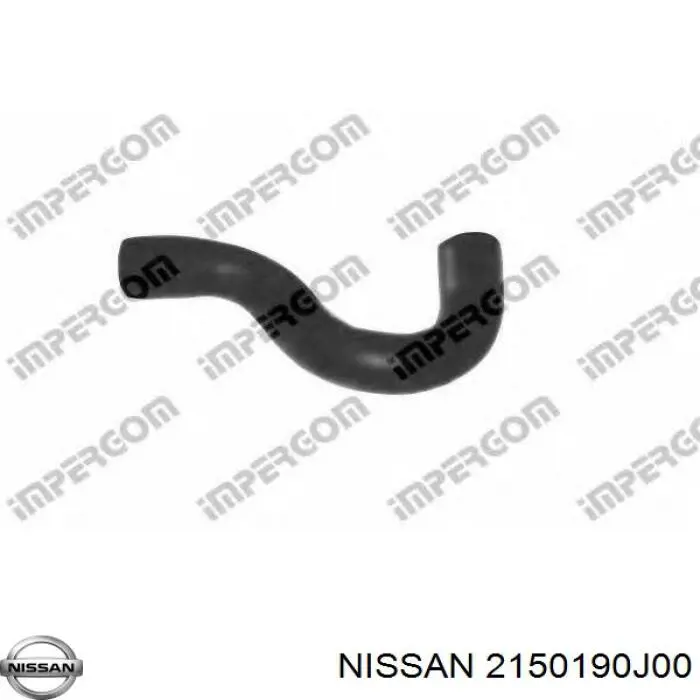  215019F000 Nissan