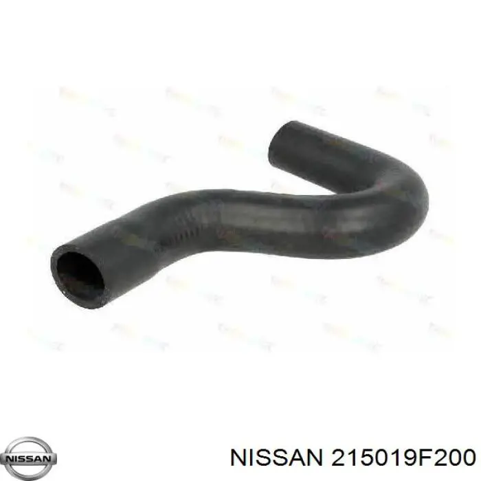  215019F200 Nissan