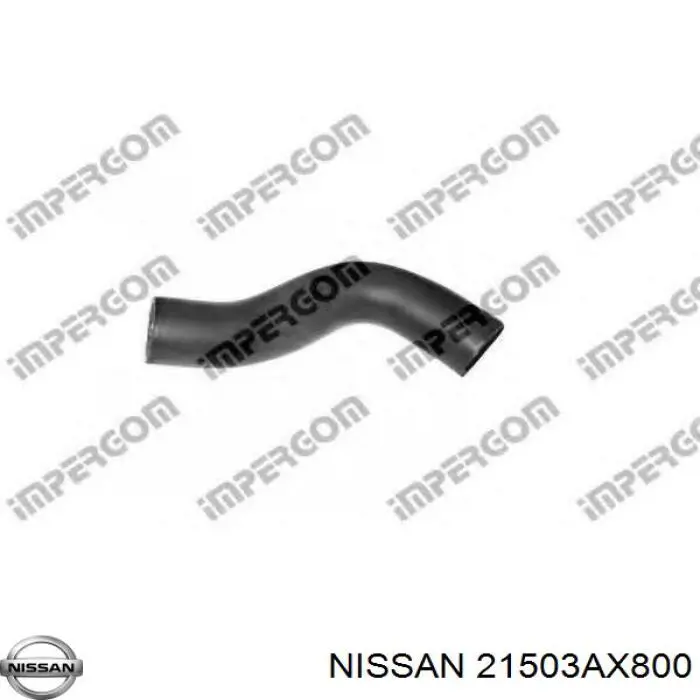  21503AX800 Nissan