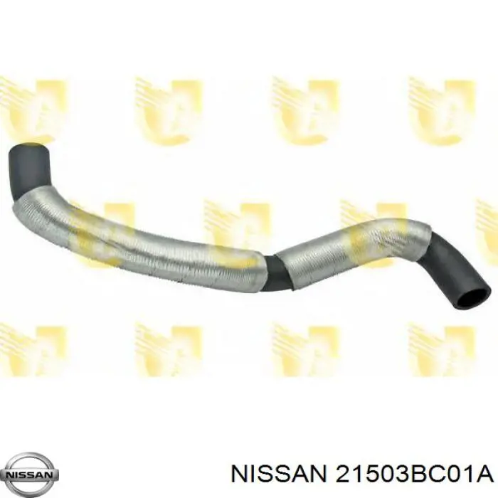  21503BC01A Nissan