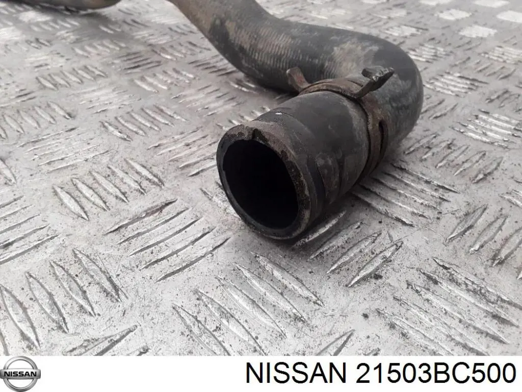 Купити 21503BC500 Nissan/Infiniti Шланг/патрубок радіатора охолодження, нижній