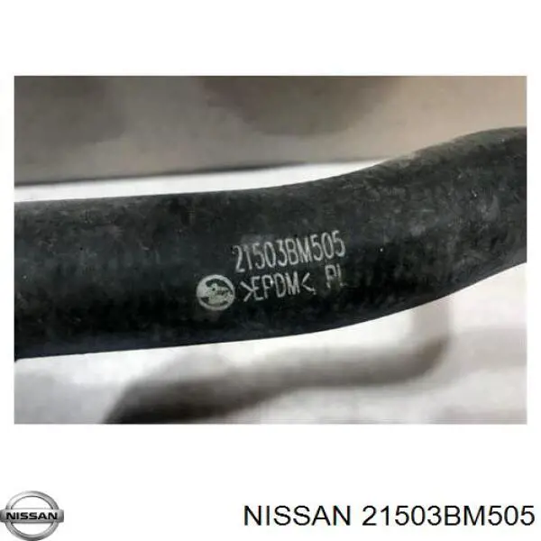 Купити 21503BM505 Nissan/Infiniti Шланг/патрубок радіатора охолодження, нижній