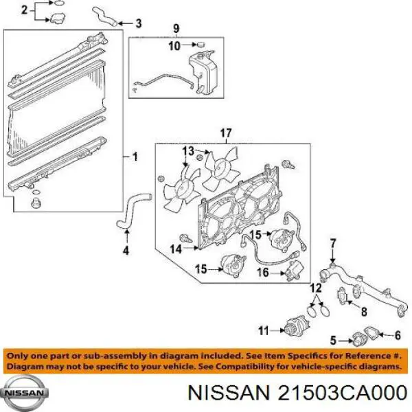 Шланг/патрубок радіатора охолодження, нижній Nissan Teana (J31) (Нісан Теана)