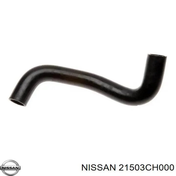 Купити 21503CH000 Nissan/Infiniti Шланг/патрубок радіатора охолодження, нижній