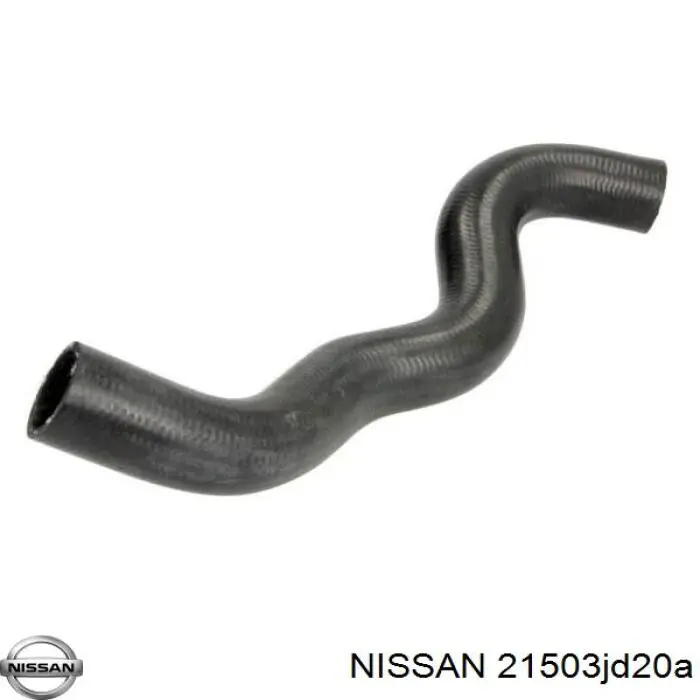 Купити 21503JD20A Nissan/Infiniti Шланг/патрубок радіатора охолодження, нижній