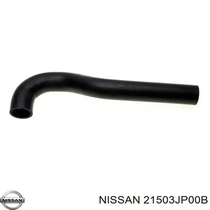 21503JP00B Nissan/Infiniti Шланг/патрубок радіатора охолодження, нижній