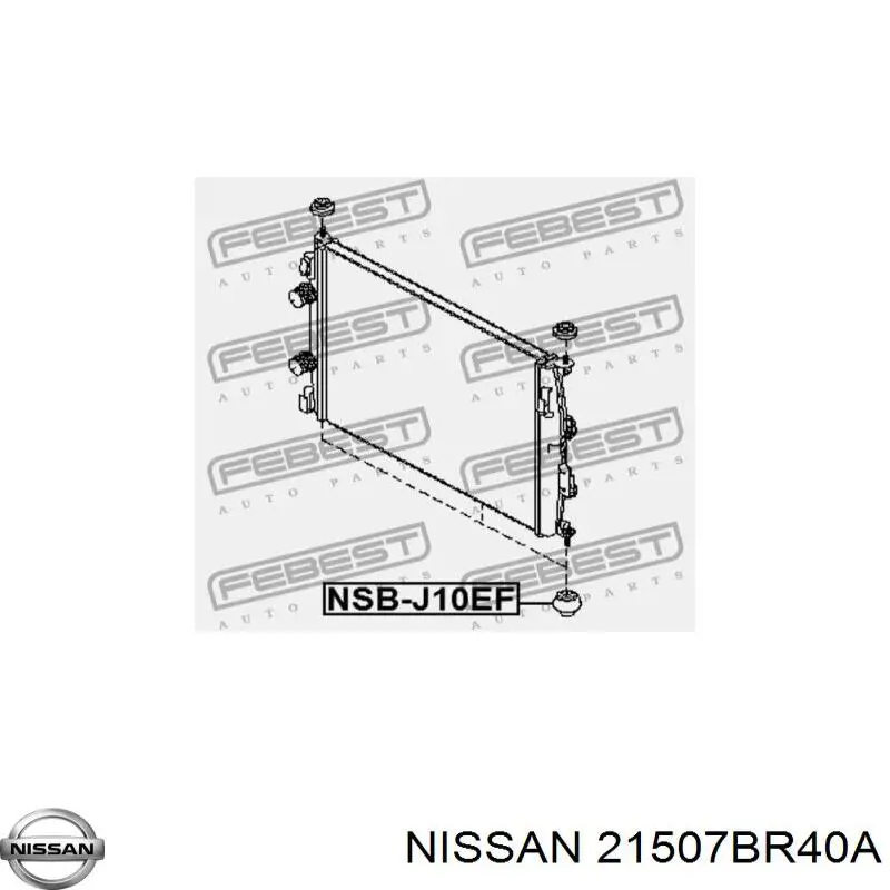 215063995R Renault (RVI) Подушка радіатору нижня