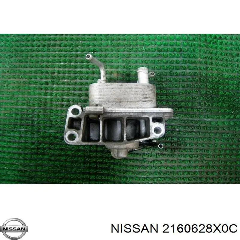  2160628X0C Nissan