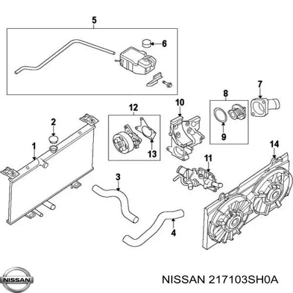  217103SH0A Nissan