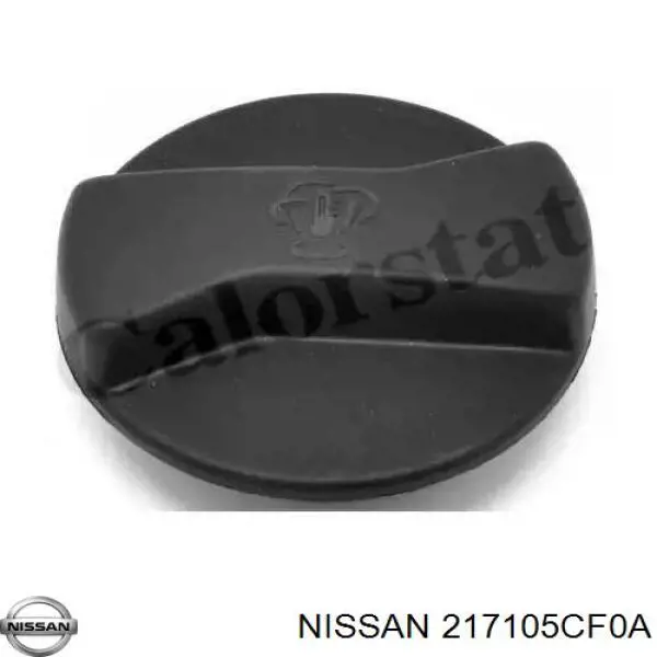 217105CF0A Nissan/Infiniti Розширювальний бачок охолодження