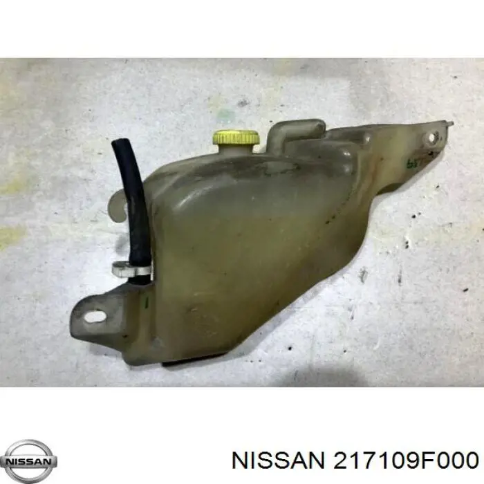 Купити 3519ZB1 Polcar Водяний бачок системи охолодження
