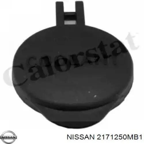 Купити 2171250MB1 Nissan/Infiniti 