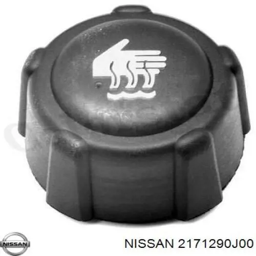  2171290J00 Nissan