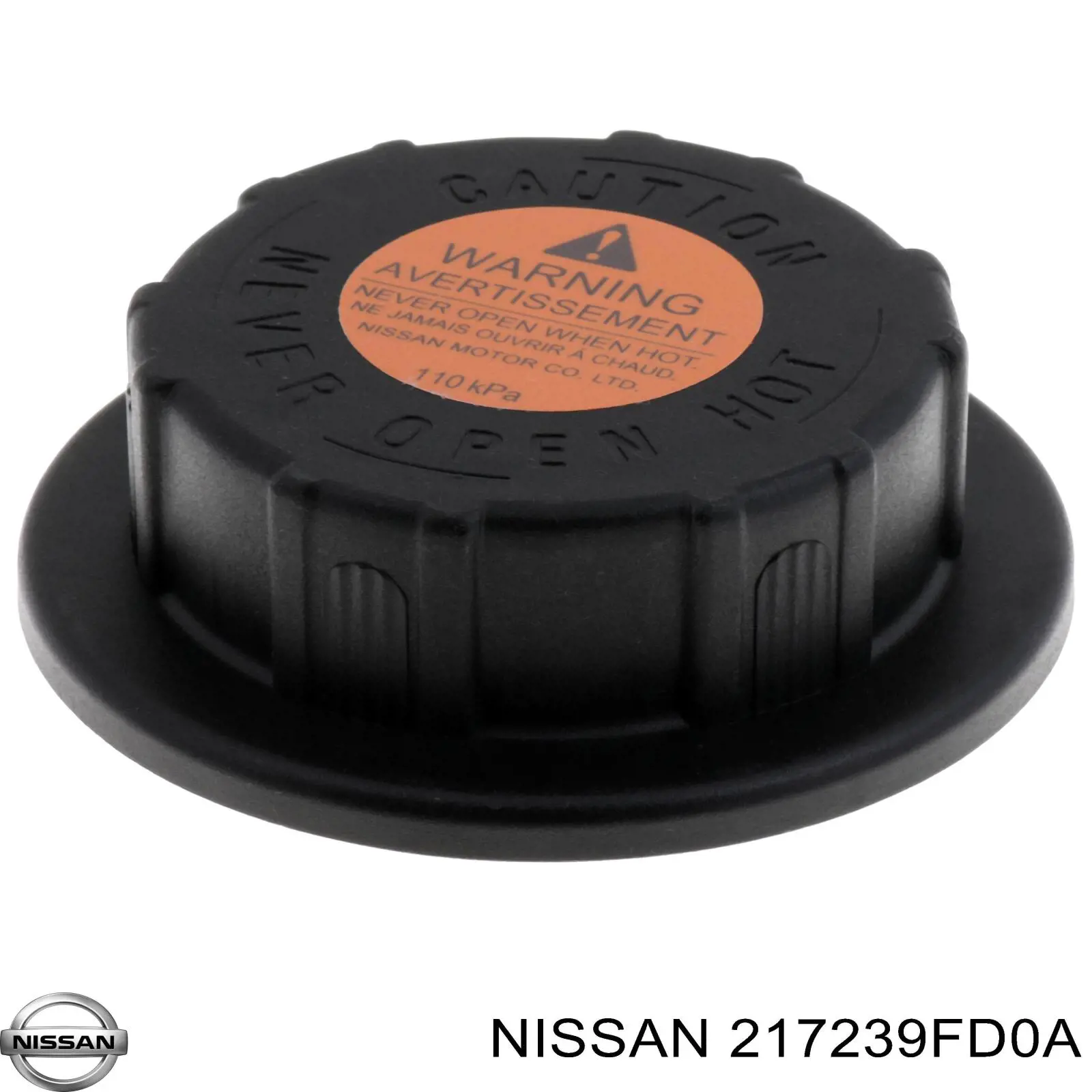  217239FD0A Nissan