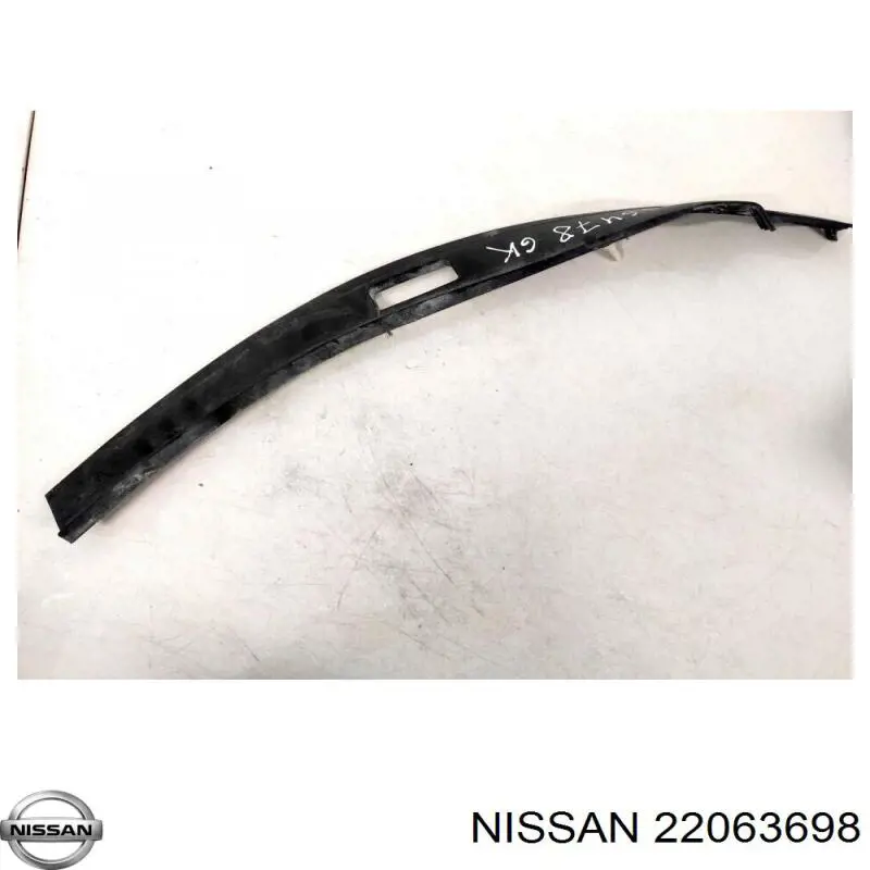 22063698 Nissan/Infiniti 